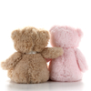 My Best Friends Teddy Bear Pink Plush Bear Brown Stuffed Bear Custom My Best Friends Bear