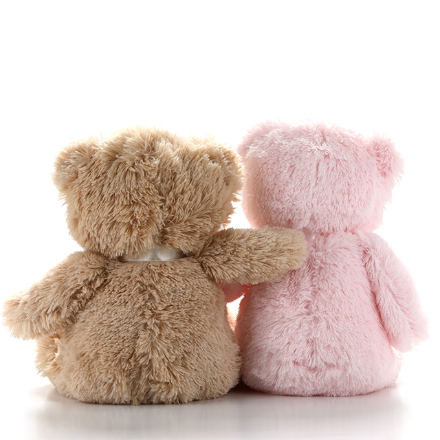 My Best Friends Teddy Bear Pink Plush Bear Brown Stuffed Bear Custom My Best Friends Bear