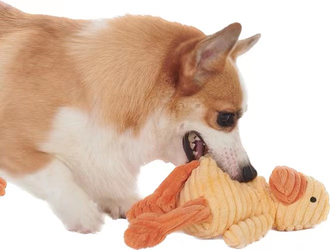 dog toys with squeaky