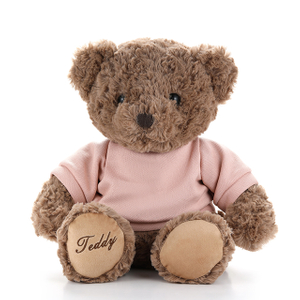 Teddy Bear With Clothes Plush Bear For Sales Stuffed Bear For Kids, Girl, Boys
