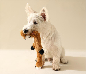 Dog Squeaky Toys without Stuffing Crinkle Paper Dog Toys Custom Dog Toys